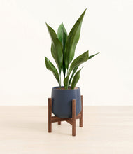 Load image into Gallery viewer, Deep Navy stand:walnut