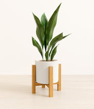 Load image into Gallery viewer, White stand:light