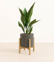 Load image into Gallery viewer, Dark Olive stand:bamboo