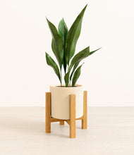 Load image into Gallery viewer, Cream stand:light