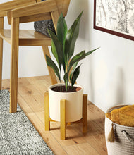 Load image into Gallery viewer, Cream stand:light