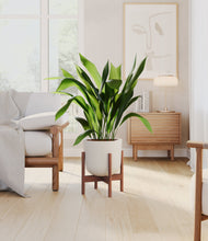 Load image into Gallery viewer, Natural Bamboo stand:walnut