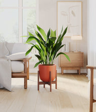 Load image into Gallery viewer, Earth Red stand:walnut