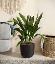 Load image into Gallery viewer, Stone Black