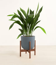 Load image into Gallery viewer, Iron Gray stand:walnut