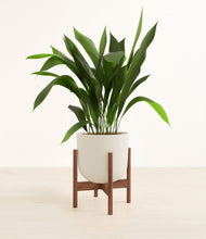 Load image into Gallery viewer, Natural Bamboo stand:walnut