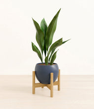 Load image into Gallery viewer, Deep Navy stand:bamboo