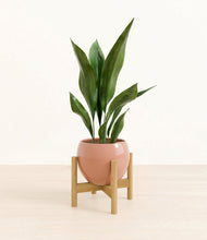 Load image into Gallery viewer, Calm Rose stand:bamboo