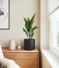 Load image into Gallery viewer, Black