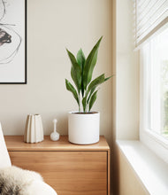 Load image into Gallery viewer, White