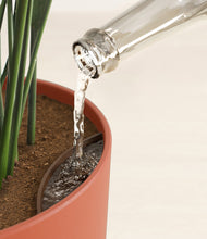 Load image into Gallery viewer, Earth Red stand:all