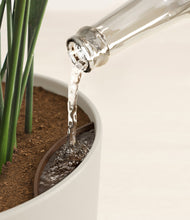 Load image into Gallery viewer, Natural Bamboo stand:all