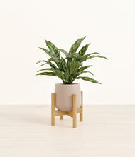 Load image into Gallery viewer, Eternal Gray stand:bamboo