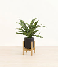 Load image into Gallery viewer, Stone Black stand:bamboo