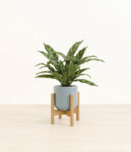 Load image into Gallery viewer, Misty Blue stand:bamboo