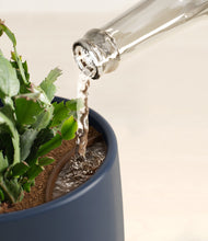 Load image into Gallery viewer, Deep Navy stand:all