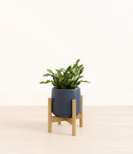 Load image into Gallery viewer, Deep Navy stand:bamboo