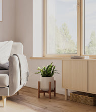 Load image into Gallery viewer, Eternal Gray stand:walnut