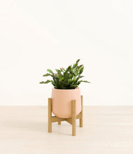 Load image into Gallery viewer, Gentle Pink stand:bamboo