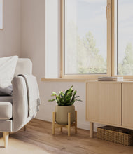 Load image into Gallery viewer, Olive stand:bamboo