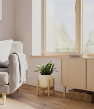Load image into Gallery viewer, Almond Green stand:bamboo