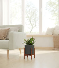 Load image into Gallery viewer, Dark Olive