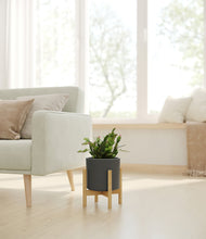 Load image into Gallery viewer, Dark Olive