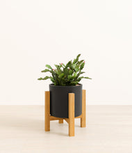 Load image into Gallery viewer, -