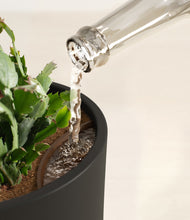 Load image into Gallery viewer, Black stand:all