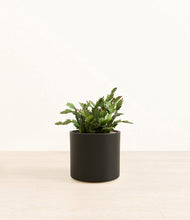 Load image into Gallery viewer, Black*****Profile