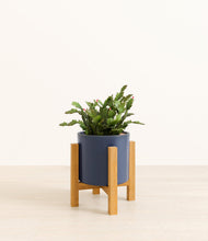 Load image into Gallery viewer, -