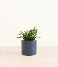 Load image into Gallery viewer, Deep Navy*****Profile