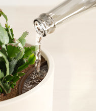 Load image into Gallery viewer, Cream stand:all