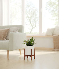 Load image into Gallery viewer, White