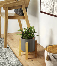 Load image into Gallery viewer, -