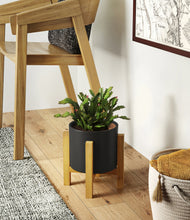 Load image into Gallery viewer, -