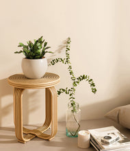 Load image into Gallery viewer, Shiny EggWhite