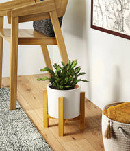 Load image into Gallery viewer, -