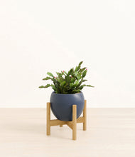 Load image into Gallery viewer, Deep Navy stand:bamboo