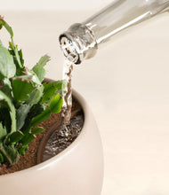 Load image into Gallery viewer, Desert Brown stand:all