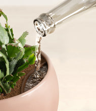 Load image into Gallery viewer, Calm Rose stand:all