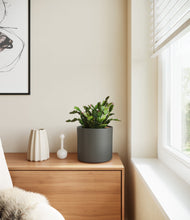 Load image into Gallery viewer, Dark Olive