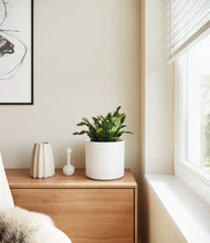 Load image into Gallery viewer, White