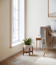 Load image into Gallery viewer, Desert Brown stand:walnut