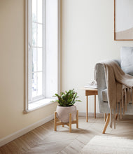 Load image into Gallery viewer, Desert Brown stand:bamboo