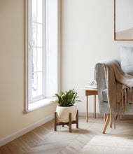 Load image into Gallery viewer, Shiny EggWhite stand:walnut