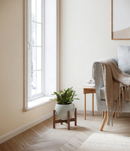 Load image into Gallery viewer, Deep Ocean stand:walnut