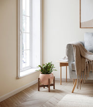 Load image into Gallery viewer, Calm Rose stand:walnut