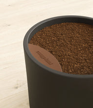 Lade das Bild in den Galerie-Viewer, Dark Olive stand:all