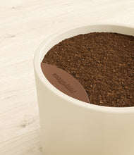 Load image into Gallery viewer, Cream stand:all